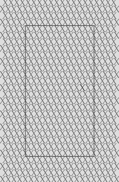 Viele Zeilen aus grauen Xen auf hellgrauem Hintergrund. Ein darauf gesetzter, dunkelgrauer Rahmen und ein dunkelgrau hervorgehobenes X beschreiben eine, im Muster verborgene Tür.